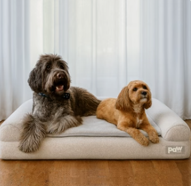 Pamper Your Pet